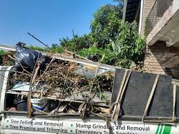 Best Hoarding Cleanup  in Portsmouth, VA